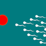 Fertilidad y esperma